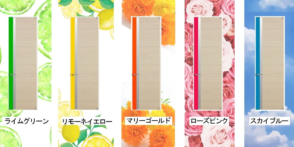 カラフルなアクセントの付いた木製ドア オーダードア ドアの注文 室内ドア 収納 クローゼット 扉の注文 ドアのデザイン ドア専門店 リフォームドア 新築ドア 店舗ドア