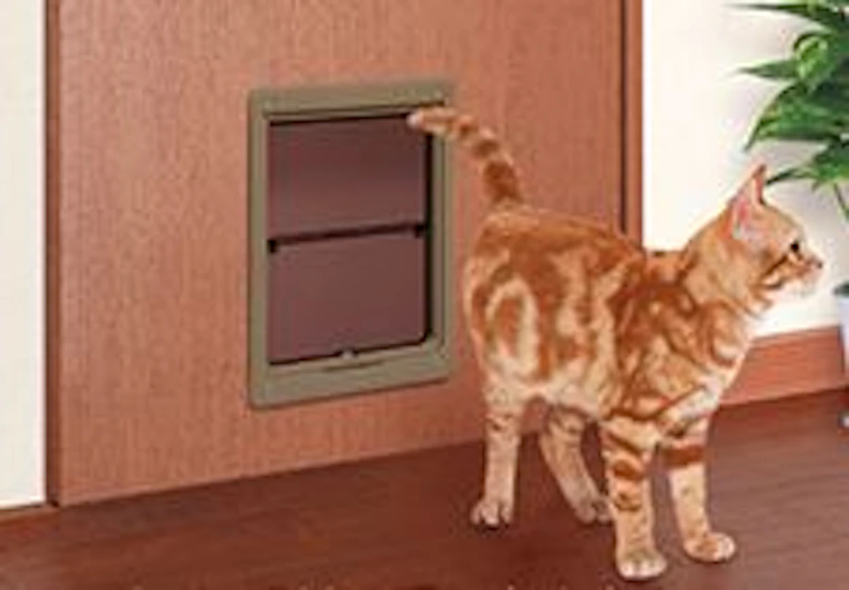ペットドア　猫用のドア　犬用ドア